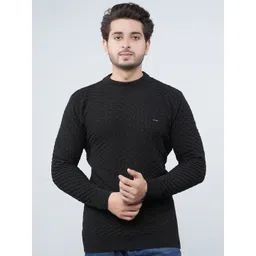 FEVERFEW Men Self Design Pullover-picture-38