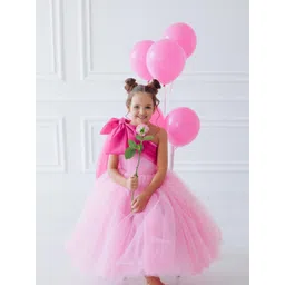 First Little Smile Women Embroidered Net Balloon Dress-picture-42