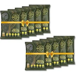 FIRST PLANT - Premium Rajasthani HENNA POWDER, 100% ORGANIC Henna with GI Tag for Hair Colour and Hair Care (Pack of 10 x 200g)-image-42