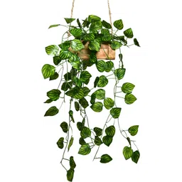 flipkart perfect homes Falling Leaves Hanging in Wood Buckle Pot Wild Artificial Plant with Pot-picture-36