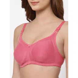 Floret Blue & Rose Pack of 2 Super Support Bra image 3