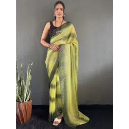FLOURIOUS Striped Pure Chiffon Ready to Wear Saree-picture-15