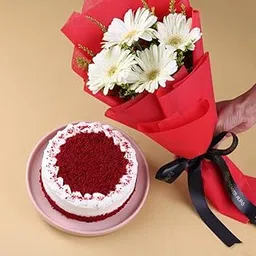 FlowerAura Premium Combo of Fresh Live 4 White Gerberas Flower Bouquet With Delicious 500g Red Velvet Cake For Birthday | Anniversary | Valentine's Day | New Year | Christmas (Same Day Delivery)-picture-34