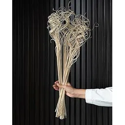 Flowers and Fillers || White Curly Sticks| Natural Dried Flower | Eco-Friendly Flowers for Home, Office, Bedroom, Table Decoration and Craft Items Corner (Without Vase Pot)-picture-27
