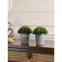 FOLIYAJ 2-Pcs Green & White Thick leaves Artificial Plant With Pot-picture-11