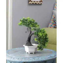 foliyaj Artificial Bonsai Plant with Pot-picture-33