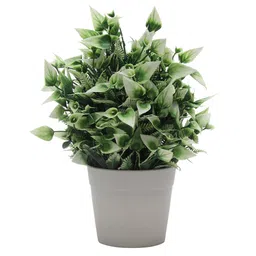 Foliyaj Artificial Plant with Green White Leaves and Flowers image 4