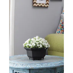 FOLIYAJ Green & White Artificial Plant With Black Pot-picture-38
