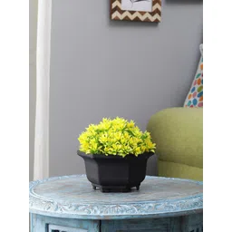 FOLIYAJ Green & Yellow Artificial Plant With Black Pot-picture-37