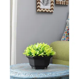 FOLIYAJ Green Artificial Plant With Black Pot-picture-18