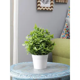 FOLIYAJ Green Artificial Plant With White Pot-picture-19
