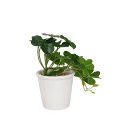 FOLIYAJ Green Faux Clover Plant With Pot image 4
