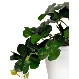 FOLIYAJ Green Faux Clover Plant With Pot image 3