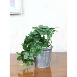 FOLIYAJ Green Faux Schefflera Plant With Pot-picture-10