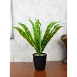 FOLIYAJ Green Faux Snake Plant With Pot-picture-13