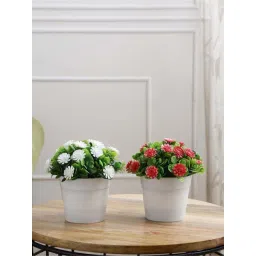 Foliyaj Multicolor Plastic Artificial Plants Gerbas - Set of 2-picture-27