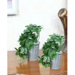 foliyaj Set of 2 Artificial Plants with Pots-picture-43