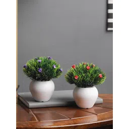 FOLIYAJ Set Of 2 Red & Blue Artifical Flower Plants With Pine Leaves & White Pots-picture-28