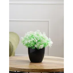 FOLIYAJ White & Green Artificial Plant With Pot-picture-29