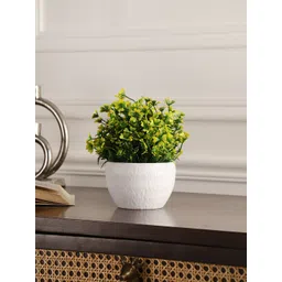 FOLIYAJ Yellow & White Artificial Daisy Plant With Pot-picture-40