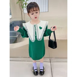 FOREVER FRIDAY Girls Round Neck A-Line Dress-image-38