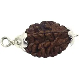 FOREVER Gems Natural 2 Mukhi Kaju Dana Rudraksha Original Certified Do Mukhi Rudraksha Pure Bead Domukhi Rudraksha in Silver Pendant Two Face Rudraksha Nepal Dwimukhi Rudraksha 2 मुखी रुद्राक्ष-picture-24
