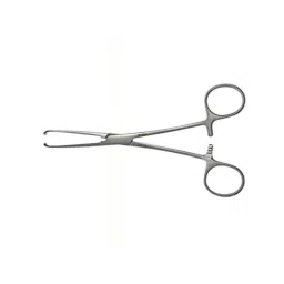 Forgesy GSS58 10 inch Allise Tissue Forcep-picture-47