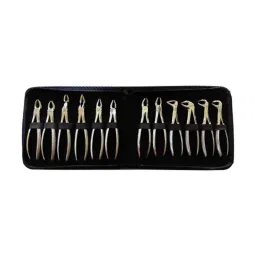 Forgesy GSS83 12 Pcs Stainless Steel Adult Tooth Extraction Forceps Kit-picture-45