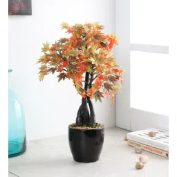 fourwalls Fabric Multicolour Japanese Maple In A Ceramic Pot Artificial Plants-picture-27