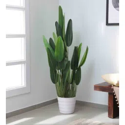 fourwalls Plastic Phoebe Green Strelitzia Artifical Without Pot Artificial Plant-picture-31
