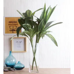 fourwalls Polyester Green Cordyline Without Pot Set Of 2 Artificial Plants-picture-38