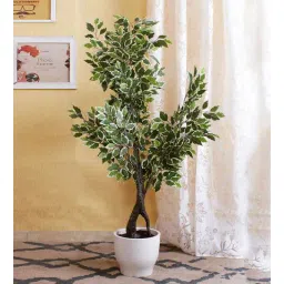 fourwalls Polyester Green Decorative Variegated Ficus Without Pot Artificial Plants-picture-33