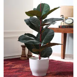 fourwalls Polyester Green Polyster Floor Without Pot Artificial Plants-picture-23