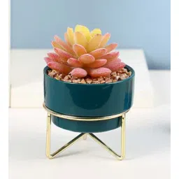 Multicolour Polyurethane Artificial Succculent Plant in Ceramic Pot with metal Stand by Fourwalls-picture-39