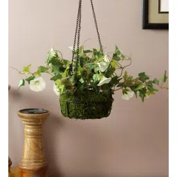 White Polyester Decorative Artificial Morning Glory Flower With Hanging Ironware Basket By Fourwalls-picture-10
