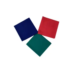 FOVEROS Red & Blue 3 Pieces Cotton Roti Cover Napkins-picture-27