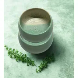 freakway (Set of 2) Handcrafted Dual Tone 150ml Dinner Bowl (Green)-picture-15