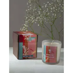 Freedom Tree Evening Tuberose Natural Soy Scented Candle-picture-41