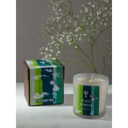 Freedom Tree Night Jasmine Natural Soy Scented Candle-picture-26