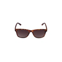 French Connection Green Lens Wayfarer Sunglass Full Rim Brown Frame With Gradient (FC 7582 C1)-picture-21