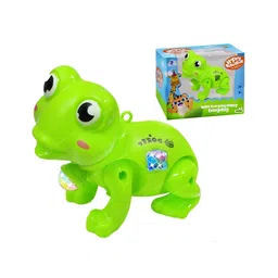 FunBlast Musical Frog with LED Flashing Lights & Sound Toy for Kids-picture-24