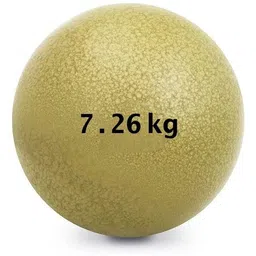 gamers hub 7.26 kg Shot Put-picture-23