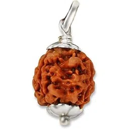 Ganesha Arts 3 Mukhi Rudraksha From Nepal 20mm-22mm Silver pendent Lab Certified, 14mm-16mm, Wood, No Gemstone-picture-10