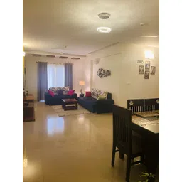 ganeshart Transparent Glass Ceiling Lamp image 2