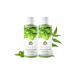 Gangaa Naturals Set Of 2 Neem & Tulsi Anti- Lice & Nits Shampoo - 100 ml Each-picture-30