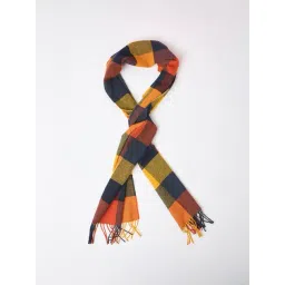 GANT Mens Multicolour Colour Block Scarf-picture-15