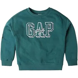 GAP Boys Sweatshirt-picture-13