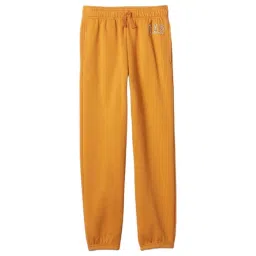 GAP Boys Yellow Blended Solid Joggers-picture-15