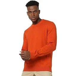 gap Men's Solid Regular Fit Pullover Sweater-picture-37