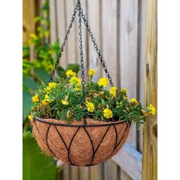 Garden Deco Black 2 Pieces Metal Hanging Planters-picture-14